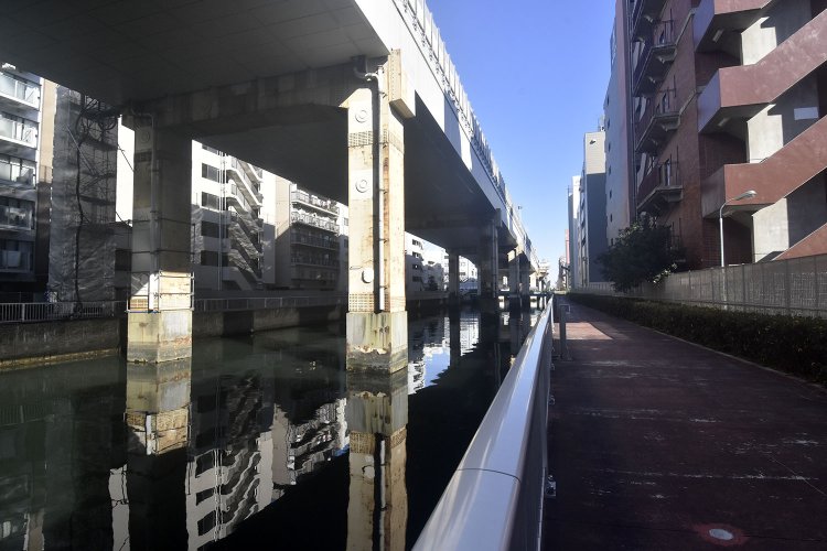 竪川に沿って歩行者専用の道もあり、散歩にはとてもありがたい。