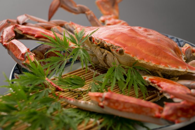 通年味わえる竹崎かに。冬は内子付きのメスが旬。