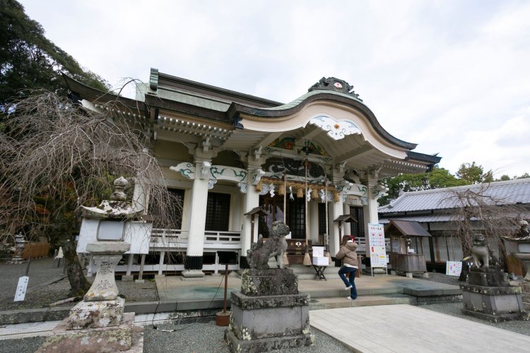 長寿の神・武内宿禰（たけうちのすくね）を奉る武雄神社。本殿裏に延びる小道の先には樹齢3000年の大楠が。