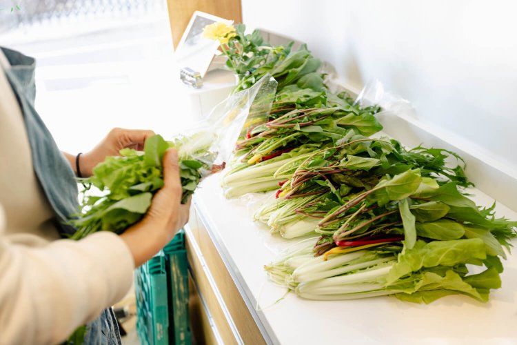 『PARITALY』で宅配野菜をセット中。