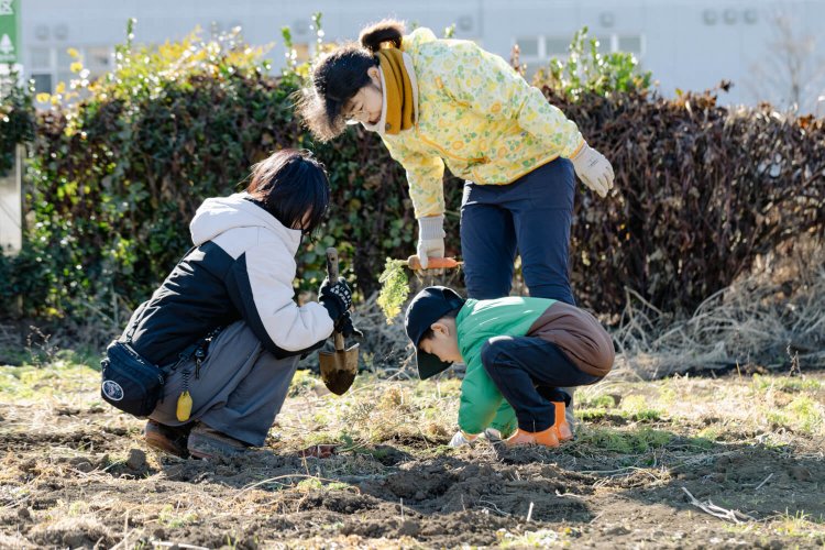 収穫イベントは100年続く『大澤農園』の桜さんから手ほどき。