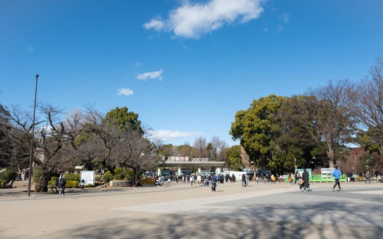 【東京おだんだね】新鶯亭の鶯だんごとおでん