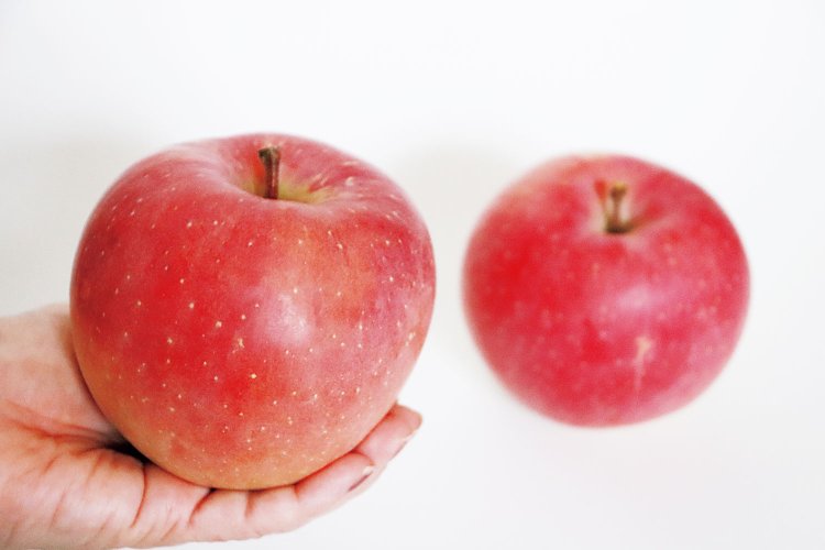 社長のおすすめ！　市内「田丸農園」の有機栽培「ふじりんご」。大きさは通常の2倍以上!?