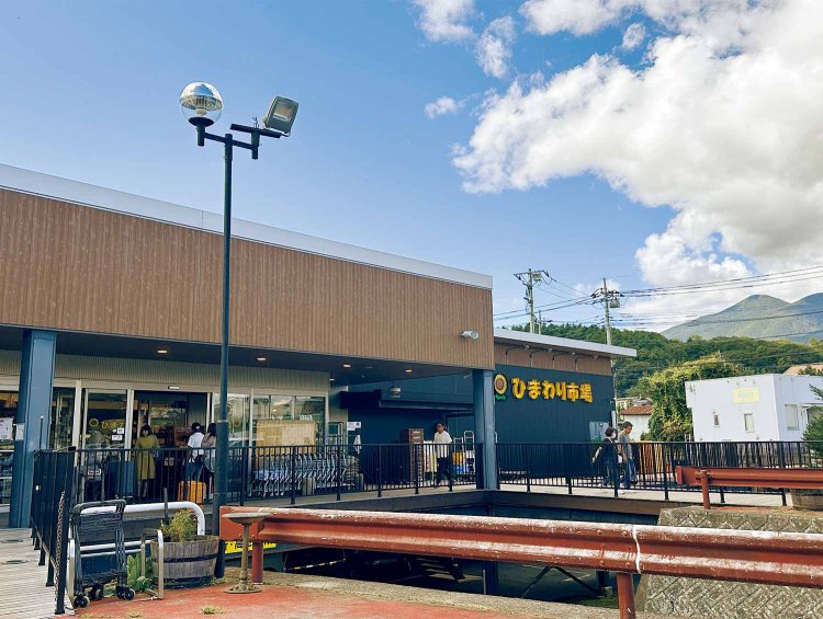 【旅の手帖】ひまわり市場