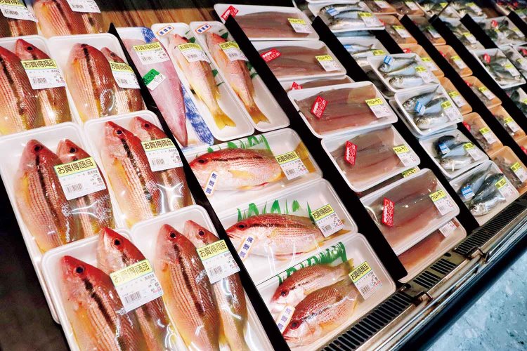 【旅の手帖】ファインズTAKEDA