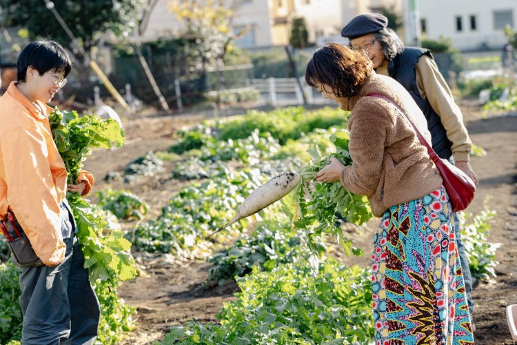 『清水農園』での集荷。自らの手で立派な大根を収穫。