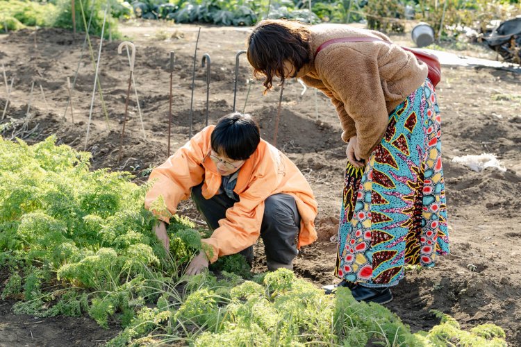 『清水農園』4代目のもとゐさんから掘り方のコツを教わる。
