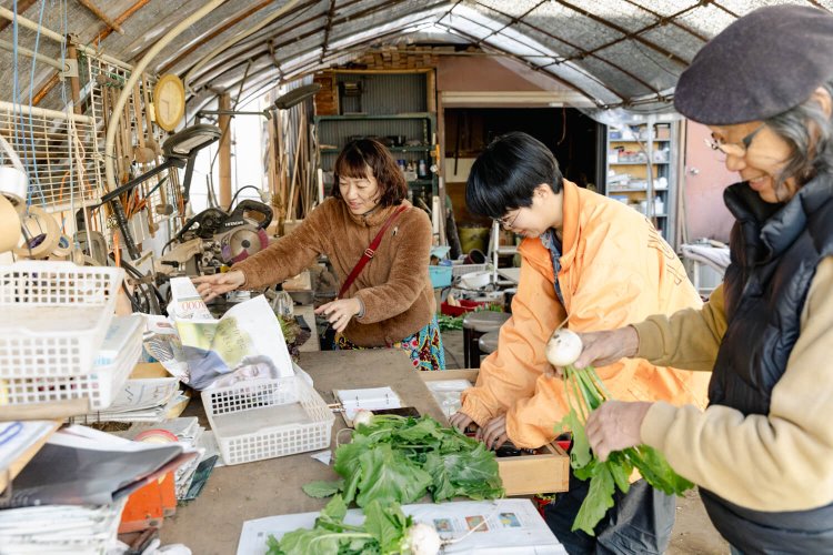 収穫後、みんなで野菜を包む。