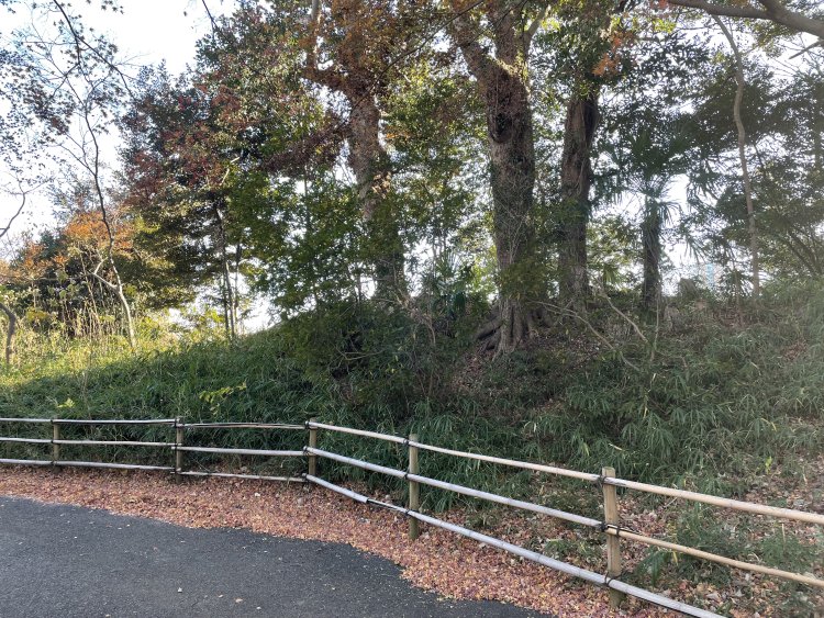 中に入ることはできないけど、この辺が古墳？