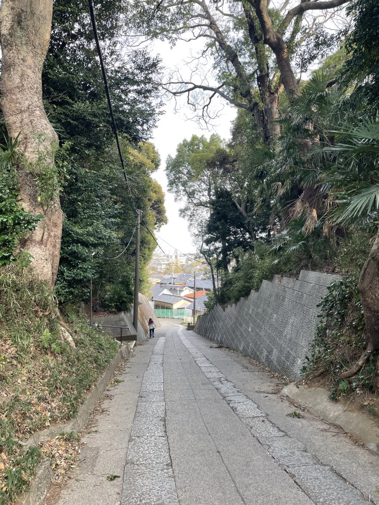 写真では伝わりにくい急な下り坂。