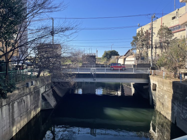 川の上を走る松戸街道と、その向こうに見える江戸川土手。