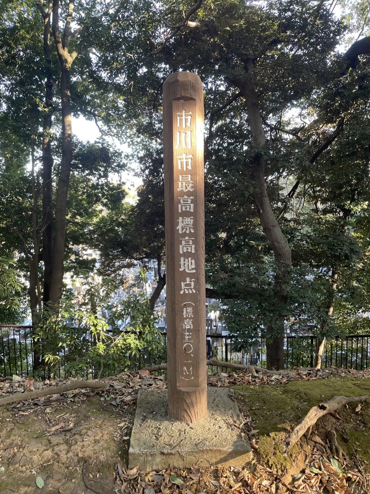 市川市最高標高地点は30.1メートル。