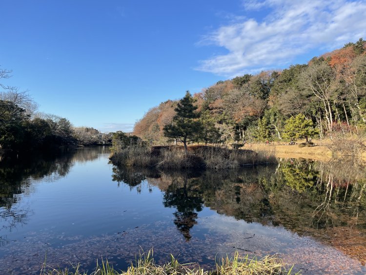 崖に古墳、穏やかな水辺に驚く。市川～松戸の真間川・江戸川の景観【「水と歩く」を歩く】