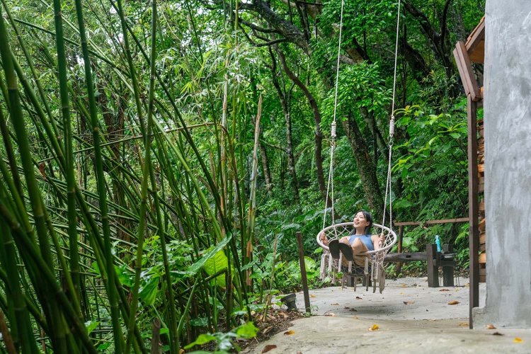 テラスにあるベンチやブランコ、ハンモックに腰かければ、力強くて神秘的な森のパワーが全身に満ちていく。