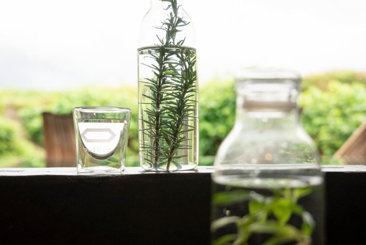 外気浴エリアで香り高い水分補給。