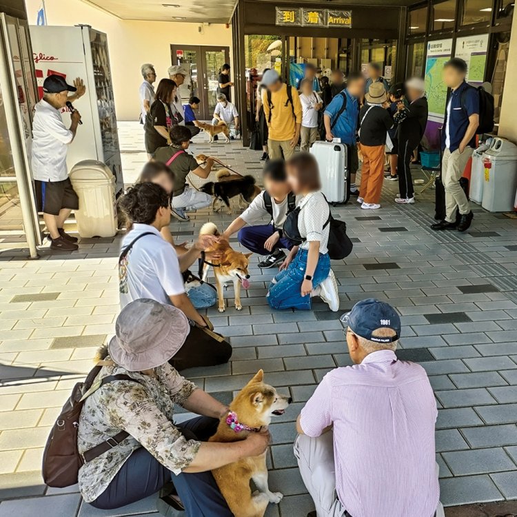 柴犬との記念撮影もOKだ（写真提供＝石見空港ターミナルビル）。