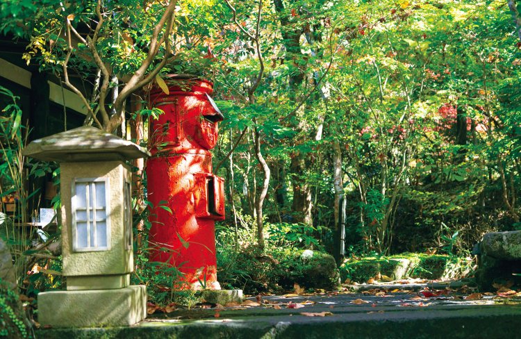 木々に包まれたアプローチを抜けて入口へ。