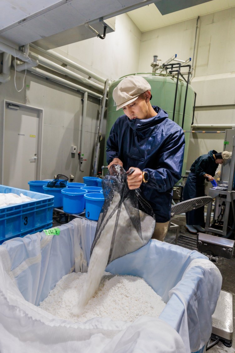 酒造りと酒蔵見学の時間帯は異なるが、運がよければ作業を見ることも。写真は洗米作業。