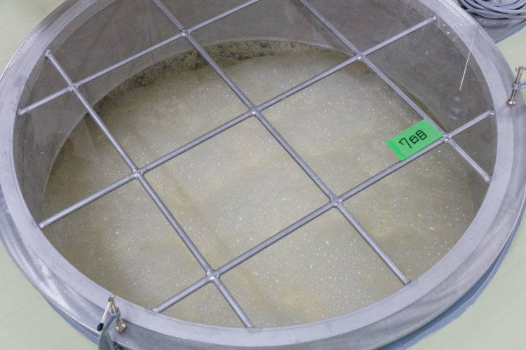 「土佐蔵」の仕込み室ではタンク内で酒が発酵する貴重な様子を間近に見られる。