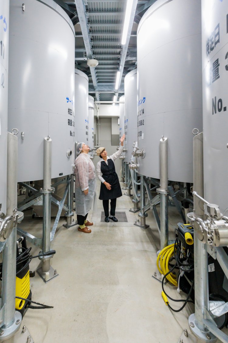 仕込み室の下にはタンクがずらり。スタッフが工程や設備を丁寧に教えてくれる。