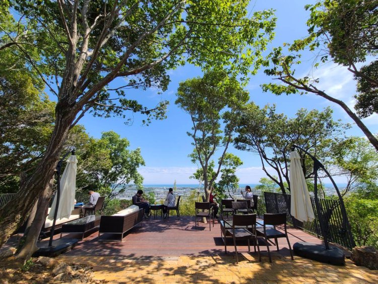 ワイナリーは山の上に立ち、太平洋を望むテラス席で試飲ができる。