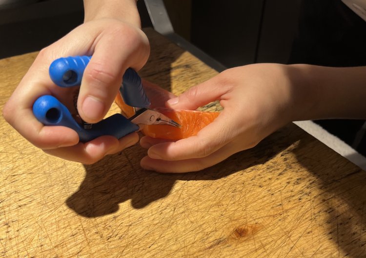 刺し身にする前に骨をペンチで丁寧に取り除く。