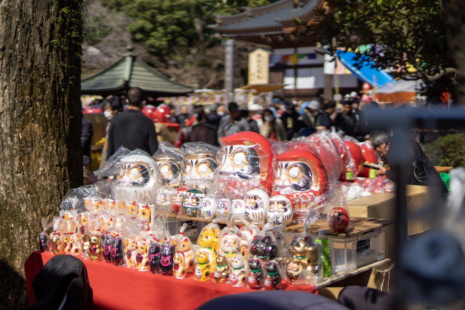 18-DSC02453