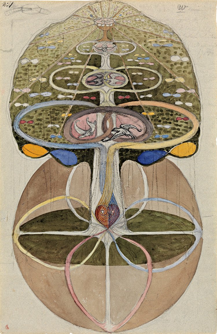 《知恵の樹、W シリーズ、No. 1》1913年 ヒルマ・アフ・クリント財団 By courtesy of The Hilma af Klint Foundation。