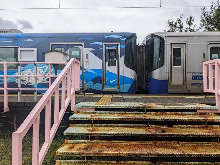 【酒場ナビ】瀬里奈_6