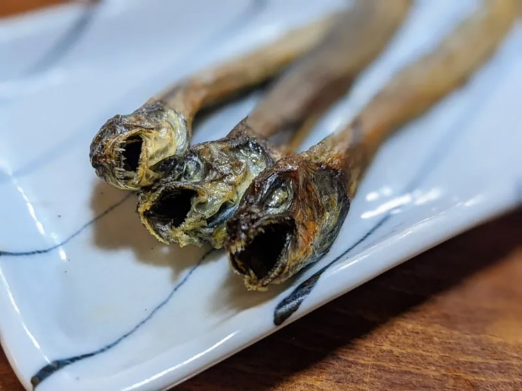 【酒場ナビ】瀬里奈_19