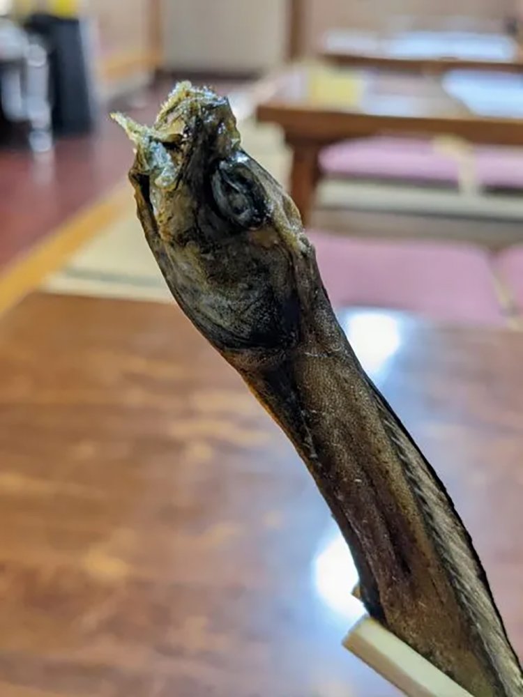 【酒場ナビ】瀬里奈_20