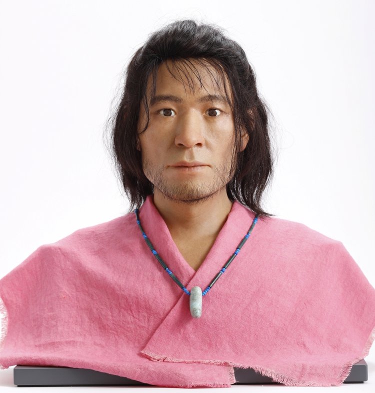 青谷男性頭骨 青谷上寺朗（復顔）鳥取県立青谷かみじち史跡公園蔵。