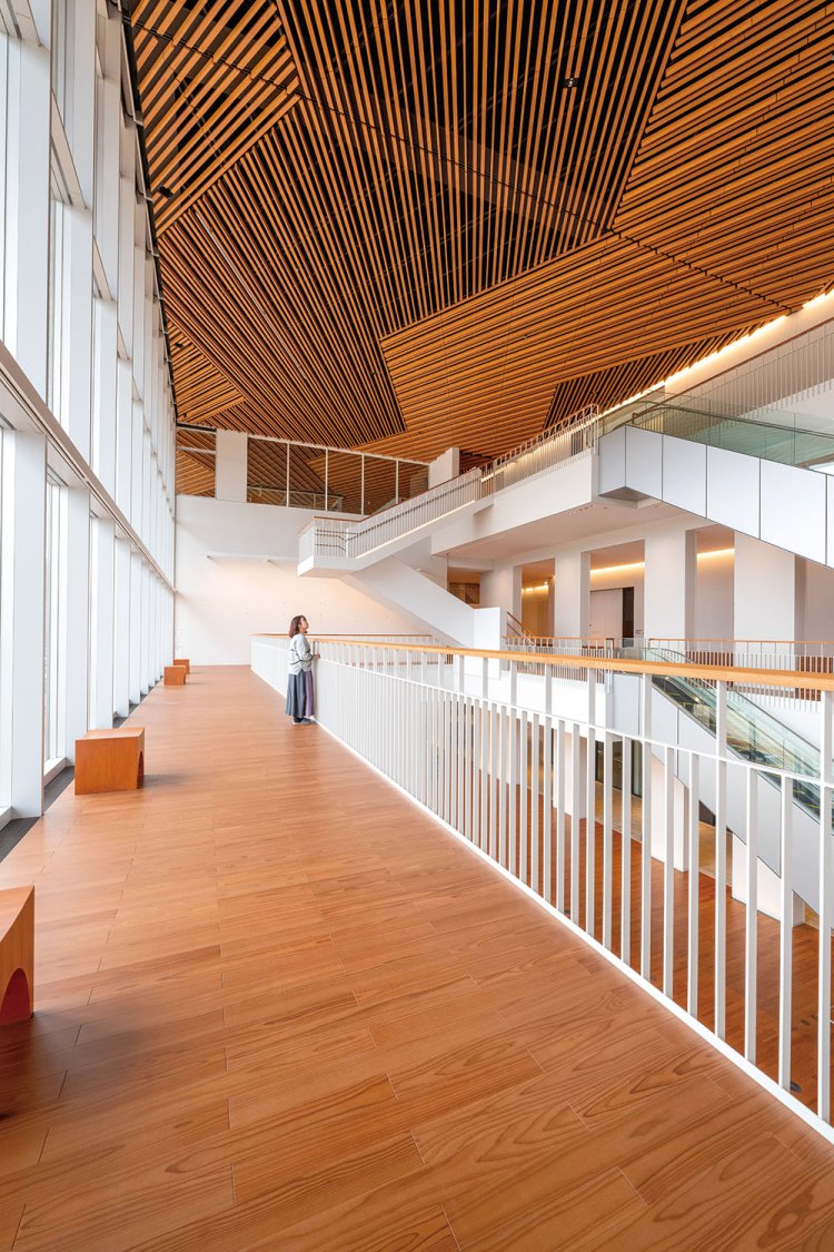 さまざまな場所に休憩できるイスが置かれ、美術鑑賞をせずとも気軽に過ごせる。鳥取砂丘の砂紋をイメージした天井にも注目。