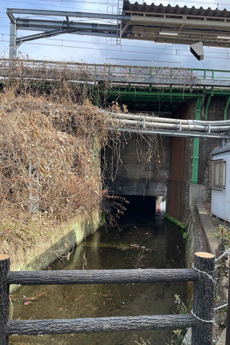 日野駅ホーム下を流れる「日野用水上堰」。奥に「日野煉瓦」を用いた橋脚が見える。