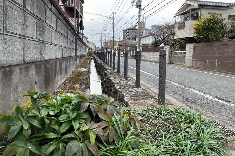 市東部、土方歳三の生家のある石田・万願寺エリアのお屋敷の脇にも、細い水路が。