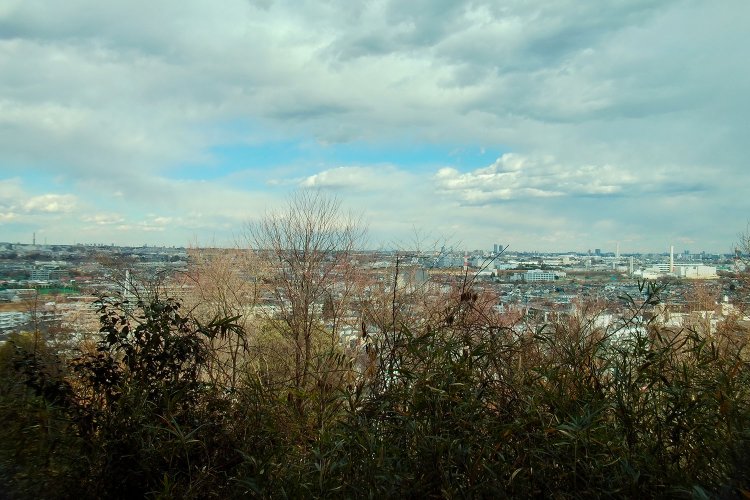 高幡不動の境内から、ちょっと上るとこの景色！　散策の価値アリです。