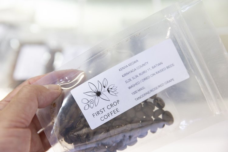 丁寧にパッキングされた焙煎豆。店はカフェを営む人のためのショールームの役割も持つ。