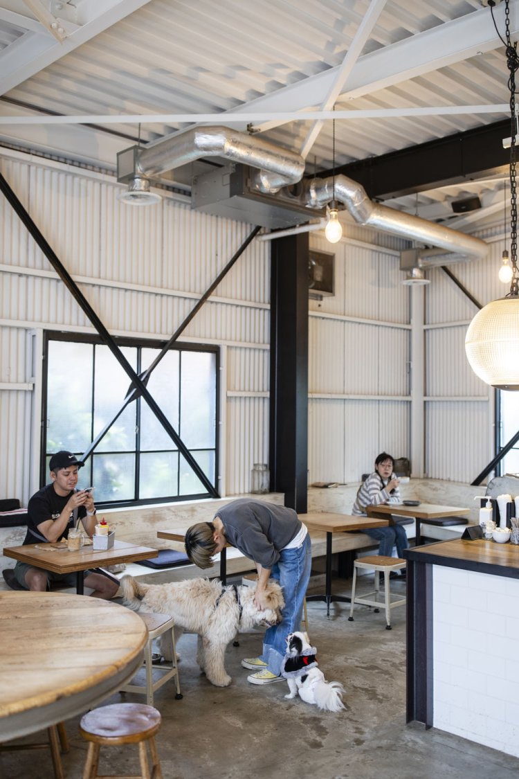 常連さんが飼う大型犬も顔なじみ。