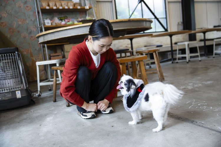 看板犬のつくねちゃんがお出迎え。犬や猫を連れて利用できるのがうれしい。