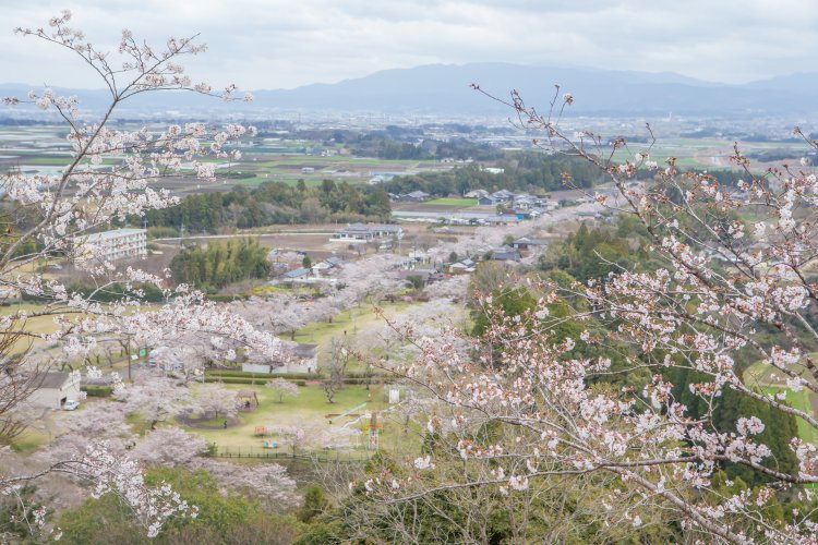 写真＝都城観光協会