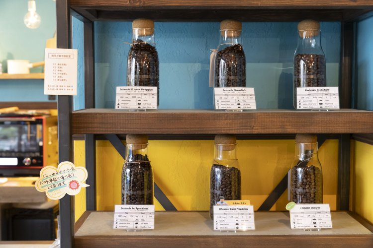 常時20種類以上の豆を揃えている。