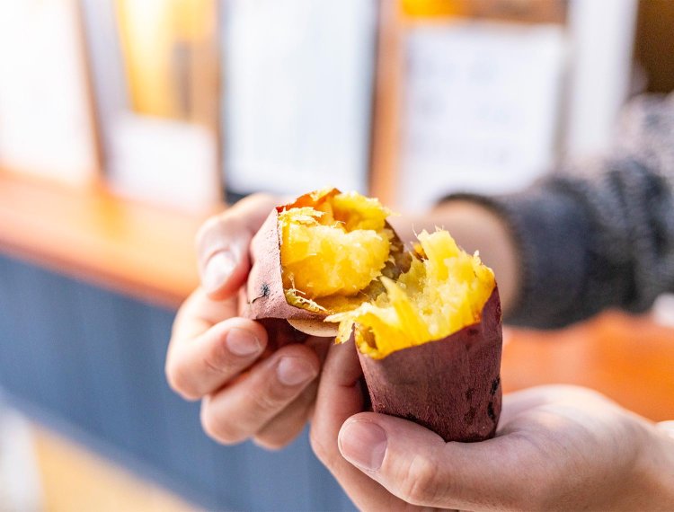 【散歩の達人】松戸