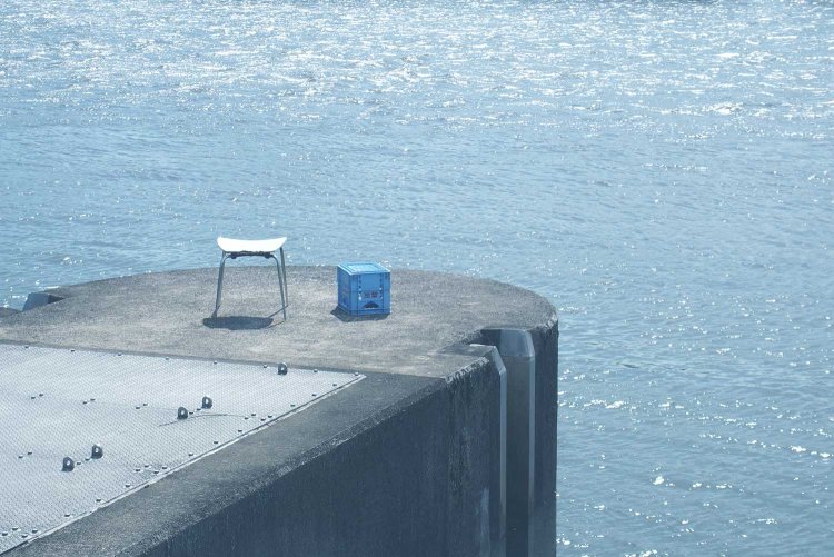 写真は、江戸川沿いのお気に入りの場所で撮ったものだ。