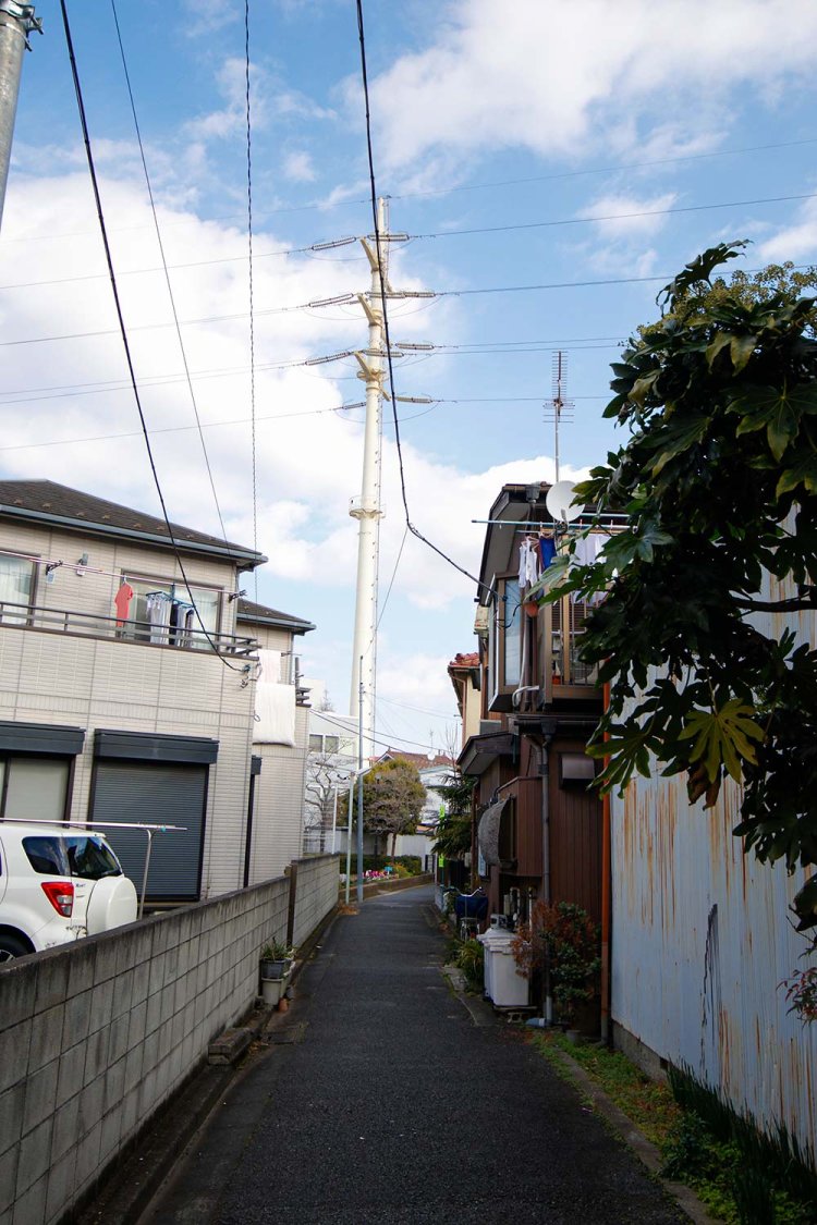 鉢植えと洗濯物の路地を見下ろす送電塔もまた、金町らしい。