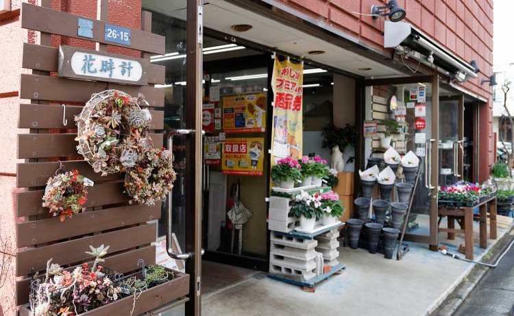 【散歩の達人】金町エリア