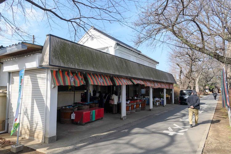 【散歩の達人】常磐線流ミックスカルチャー