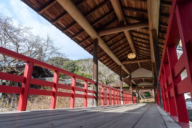 【散歩の達人】常磐線流ミックスカルチャー