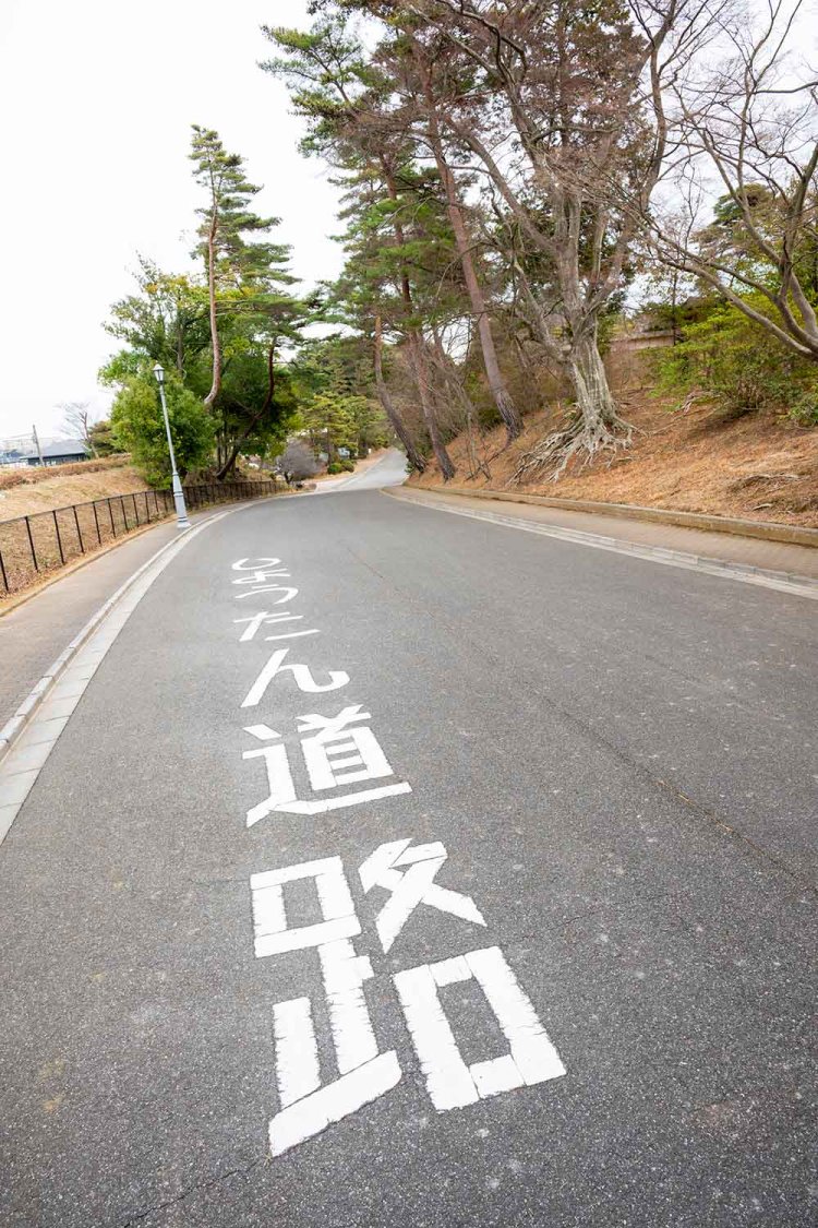 谷の地形に合わせて作られたひょうたん道路。