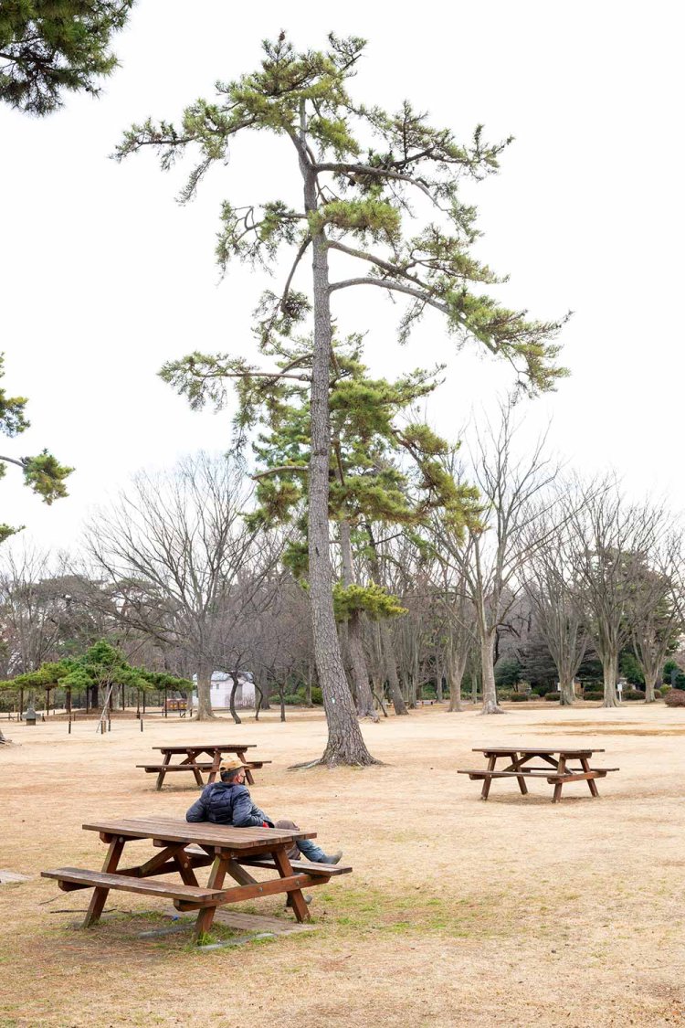 テーブルもあるふれあい広場。