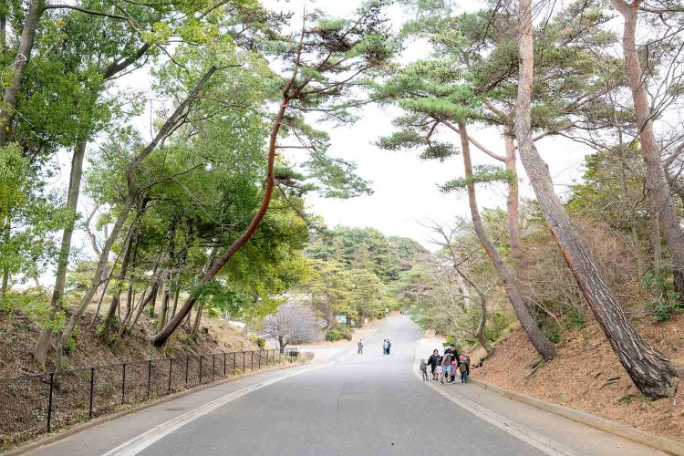 ひょうたん道路で近所の保育園児たちと遭遇。